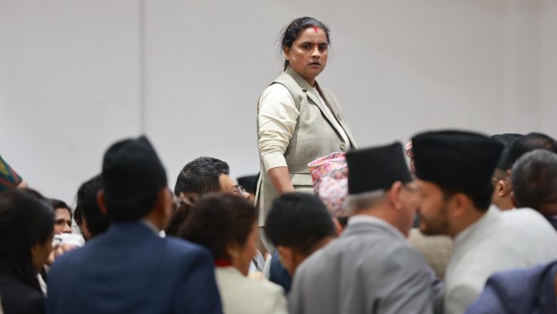 हामी सभामुखमाथि हातपात गर्न होइन, माइक खोस्न गएका थियौँ : रिंगला यादव