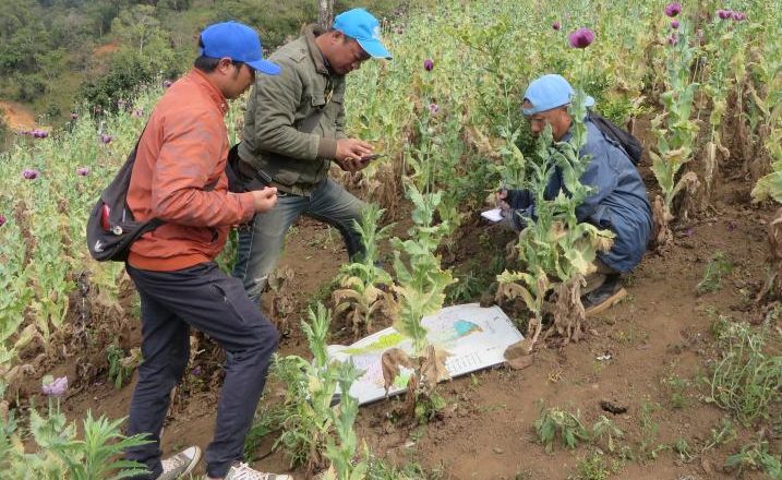लागुऔषध दुरुपयोग तथा अवैध ओसारपसारविरुद्धको अन्तर्राष्ट्रिय दिवस आज