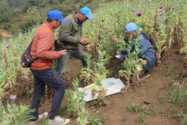 लागुऔषध दुरुपयोग तथा अवैध ओसारपसारविरुद्धको अन्तर्राष्ट्रिय दिवस आज
