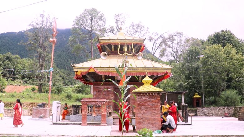 चापको रुखबाट उत्पत्ति भएको पवित्र चम्पाकेश्वर महादेवको इतिहास यस्तो छ