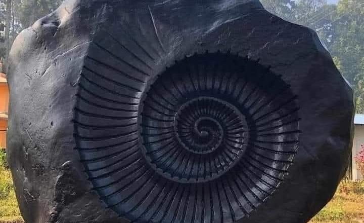 शालिग्रामको उत्पत्ति कसरी भयो? धार्मिक विश्वासदेखि वैज्ञानिक तथ्यसम्म